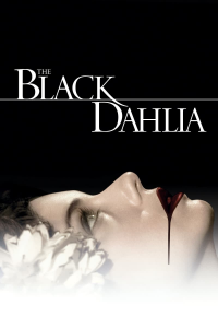 Black Dahlia