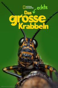 Das echte große Krabbeln