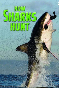 How Sharks Hunt