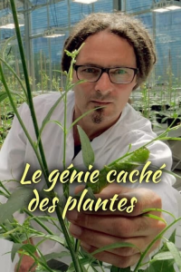 Le génie caché des plantes