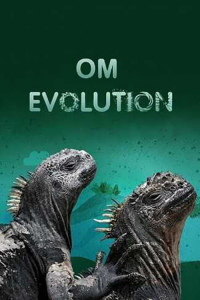 Om evolution - meänkieli