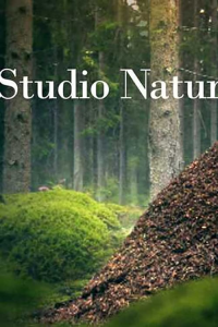 Studio Natur