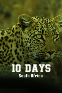 Travelxp: 10 Days South Africa